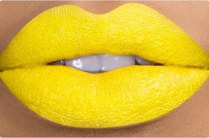 16Pcs Long Lasting Matte Mini Capsule Lipstick Set